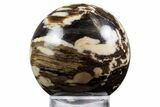 Polished Petrified Peanut Wood Sphere - Australia #341925-1